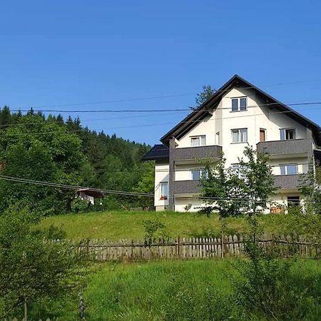 Casa Danci Centru Vila Borşa Exterior foto