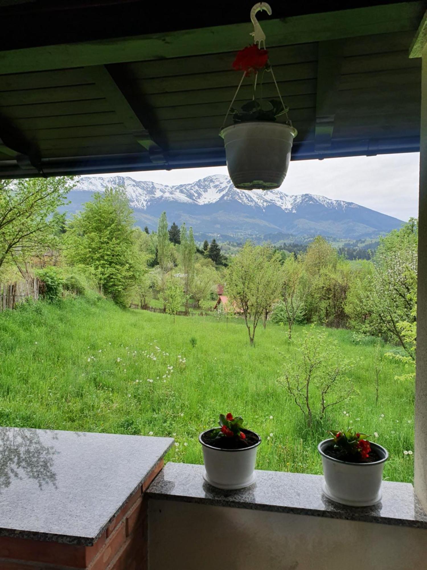 Casa Danci Centru Vila Borşa Quarto foto